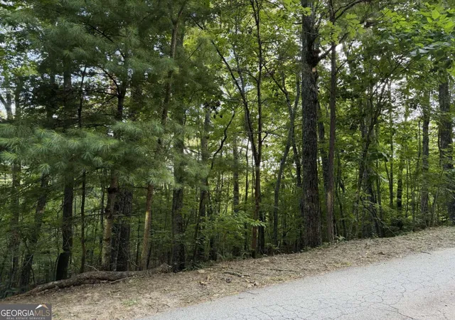 Land for sale at Lot 46 Fox Run Dr #46, Blue Ridge, GA 30513 | MLS# 10805211