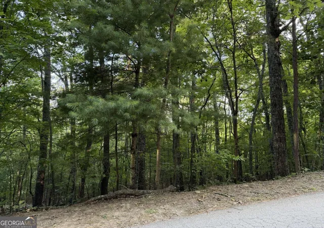 Photo 1 of Land for sale at Lot 46 Fox Run Dr #46, Blue Ridge, GA 30513 | MLS# 10805211 | Listing updated on 2026-09-18