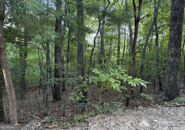 Photo 2 of Land for sale at Lot 46 Fox Run Dr #46, Blue Ridge, GA 30513 | MLS# 10805211 | Listing updated on 2026-09-18