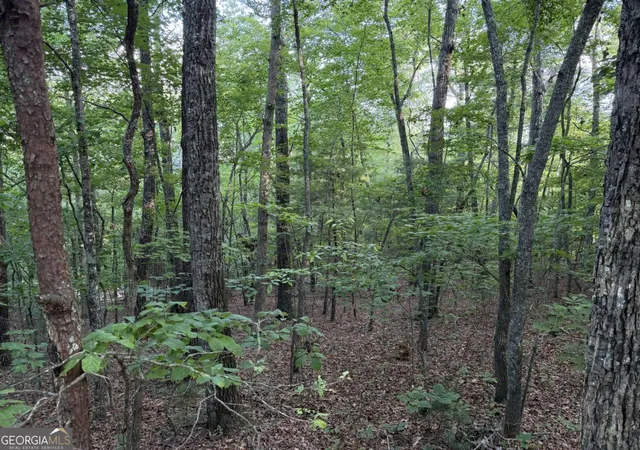 Photo 3 of Land for sale at Lot 46 Fox Run Dr #46, Blue Ridge, GA 30513 | MLS# 10805211 | Listing updated on 2026-09-18