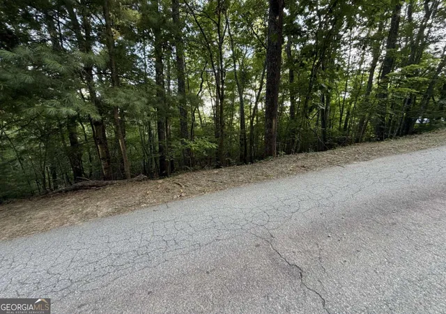 Photo 4 of Land for sale at Lot 46 Fox Run Dr #46, Blue Ridge, GA 30513 | MLS# 10805211 | Listing updated on 2026-09-18