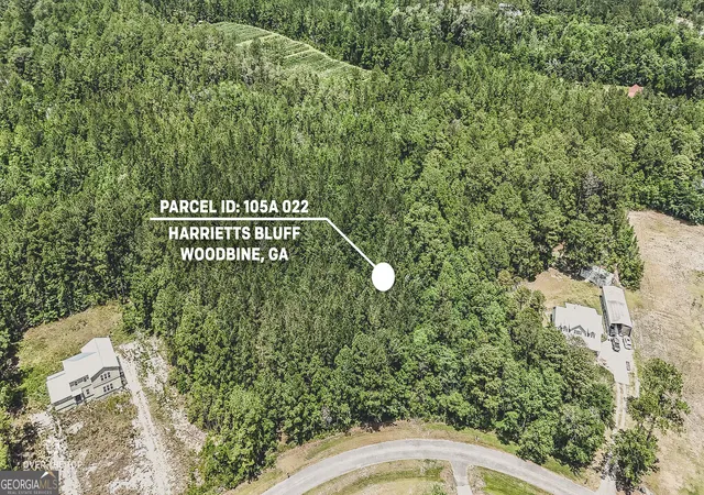 1st image of V/l 22 Village Dr, Woodbine, GA 31569 | MLS# 10826150