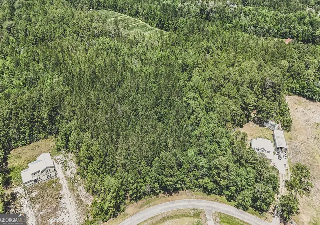 2nd image of V/l 22 Village Dr, Woodbine, GA 31569 | MLS# 10826150