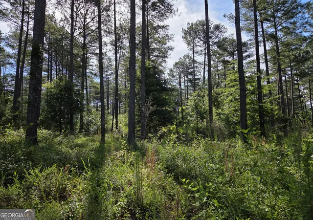 Homes for sale in Barnesville, GA | 0 Perkins Rd Perkins Rd, Barnesville, GA 30204 | MLS# 10780552