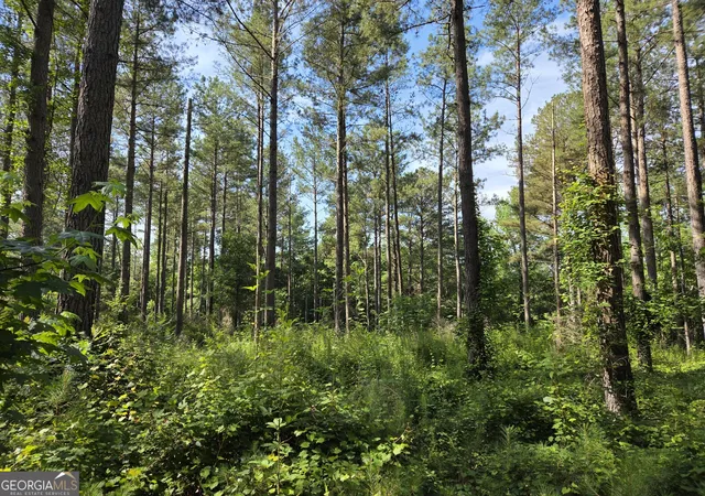 Homes for sale in Barnesville, GA | 0 Perkins Rd Perkins Rd, Barnesville, GA 30204 | MLS# 10780552