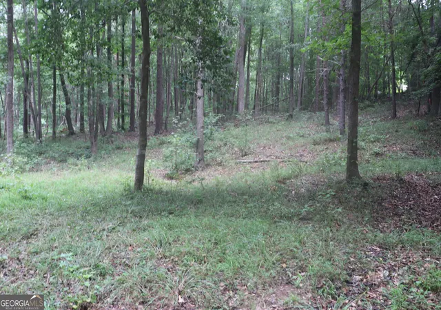 Land for sale at 330 Mountain View Rd, Lavonia, GA 30553 | MLS# 10834104
