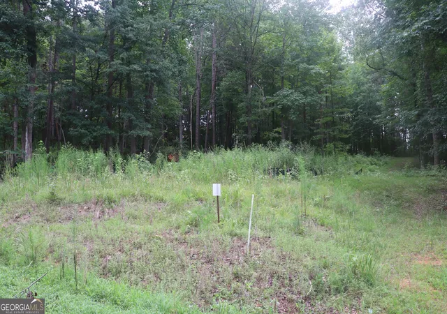 Photo 1 of Land for sale at 330 Mountain View Rd, Lavonia, GA 30553 | MLS# 10834104 | Listing updated on 2026-09-11