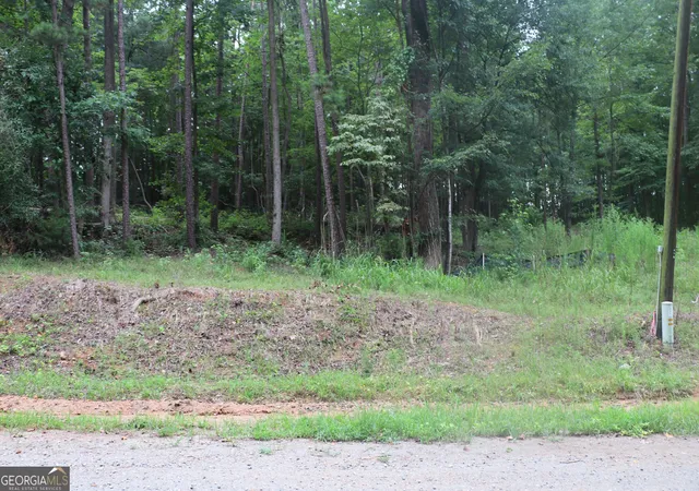 Photo 4 of Land for sale at 330 Mountain View Rd, Lavonia, GA 30553 | MLS# 10834104 | Listing updated on 2026-09-11