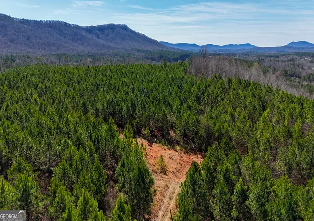 Photo 3 of Land for sale at 0 Highway 100, Summerville, GA 30747 | MLS# 10699431 | Listing updated on 2026-08-21