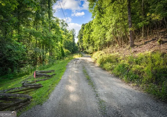 3rd image of 248 Acr Valley Ln, Mineral Bluff, GA 30559 | MLS# 10781142