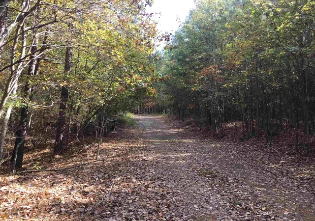 Photo 1 of Land for sale at 0 Snow Springs Rd #9520, Adairsville, GA 30103 | MLS# 20051679 | Listing updated on 2026-09-07