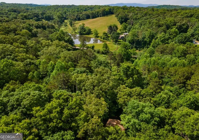 46th image of 162 Little Falls Dr, Mineral Bluff, GA 30559 | MLS# 10797983