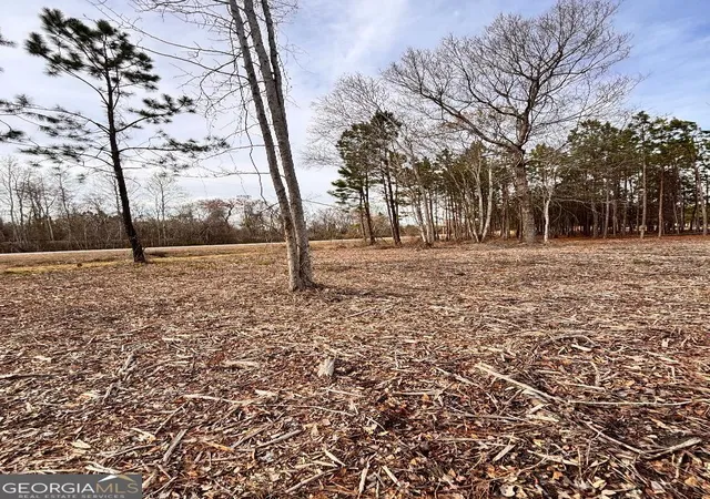 Homes for sale in Swainsboro, GA | 164 Strawberry Circle, Swainsboro, GA 30401 | MLS# 10782865