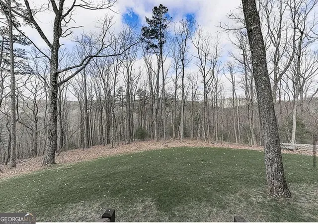 Photo 1 of Land for sale at 0 Weeks Dr, Ellijay, GA 30540 | MLS# 10879635 | Listing updated on 2026-10-30