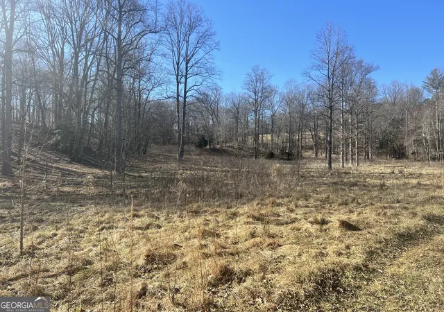 4th image of 0 Old H K Wagon Rd, Cleveland, GA 30528 | MLS# 10728155