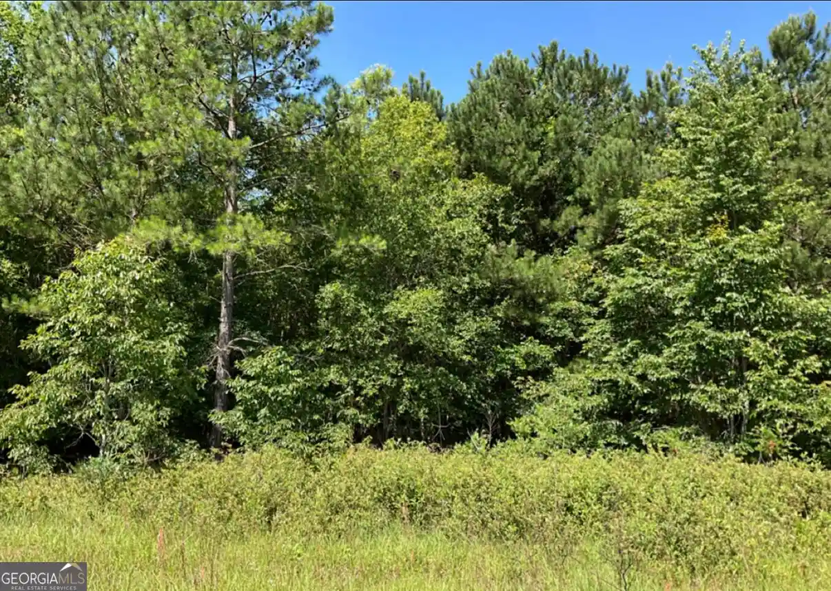 Photo 1 of Land for sale at 0 High Crst Ln, Hawkinsville, GA 31036 | MLS# 10869745 | Listing updated on 2026-10-22