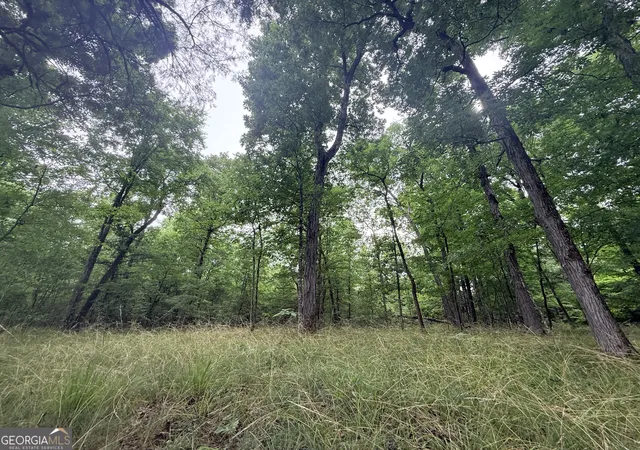 Photo 3 of Land for sale at 1 Bethesda Church Rd, Lexington, GA 30648 | MLS# 10785522 | Listing updated on 2026-07-07