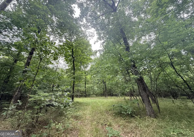 Photo 4 of Land for sale at 1 Bethesda Church Rd, Lexington, GA 30648 | MLS# 10785522 | Listing updated on 2026-07-07