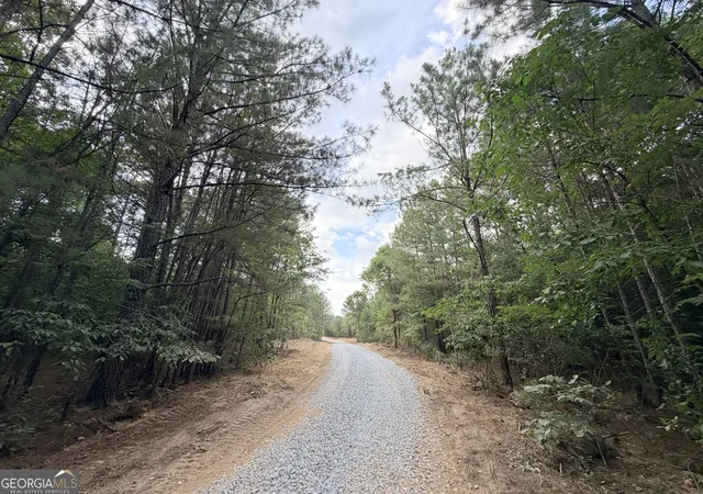 Homes for sale in Lexington, GA | 1 Bethesda Church Rd, Lexington, GA 30648 | MLS# 10785522