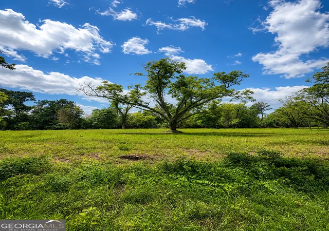 3rd image of 0 Salem Rd #3, Pine Mountain, GA 31822 | MLS# 10781599