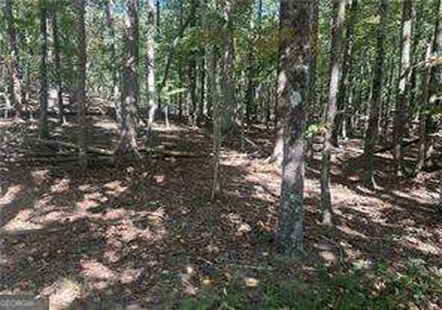 Land for sale at Lt1352 Willow Ter, Jasper, GA 30143 | MLS# 10668228