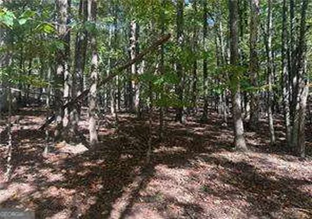Photo 2 of Land for sale at Lt1352 Willow Ter, Jasper, GA 30143 | MLS# 10668228 | Listing updated on 2026-10-09
