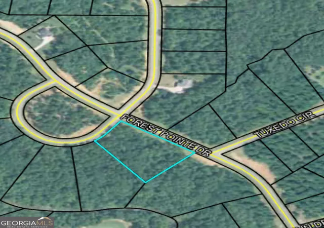 1st image of 207 Forest Pointe Dr, Forsyth, GA 31029 | MLS# 10806713