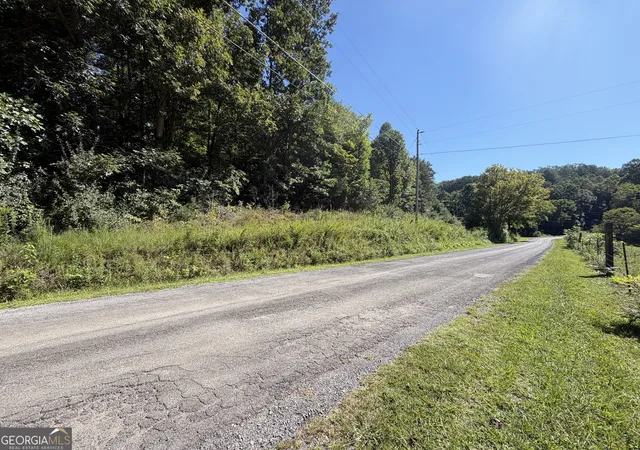 Photo 3 of Land for sale at 3498 Hall Rd, Turtletown, TN 37391 | MLS# 10834911 | Listing updated on 2026-09-11
