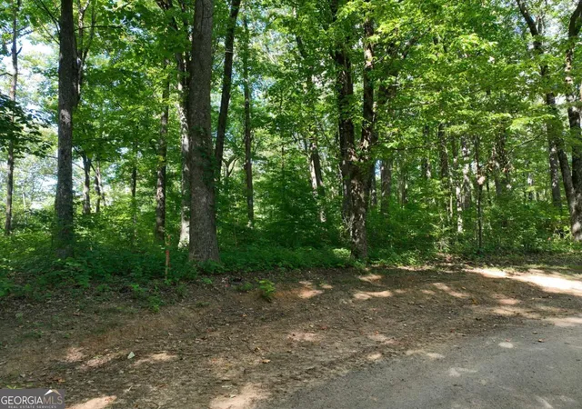 Photo 2 of Sale Pending at 31 Highline Dr, Ellijay, GA 30536 | MLS# 10786341 | Listing updated on 2026-09-04