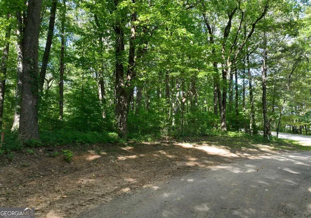 Photo 32 of Sale Pending at 31 Highline Dr, Ellijay, GA 30536 | MLS# 10786341 | Listing updated on 2026-09-04