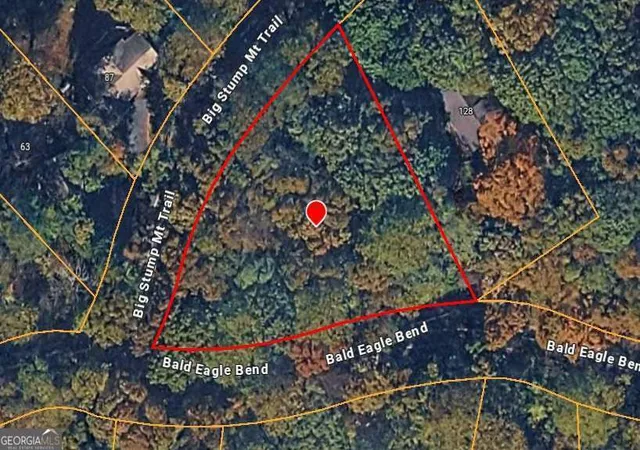 Homes for sale in Jasper, GA | 0 Big Stump Mountain Trl, Jasper, GA 30143 | MLS# 10790877