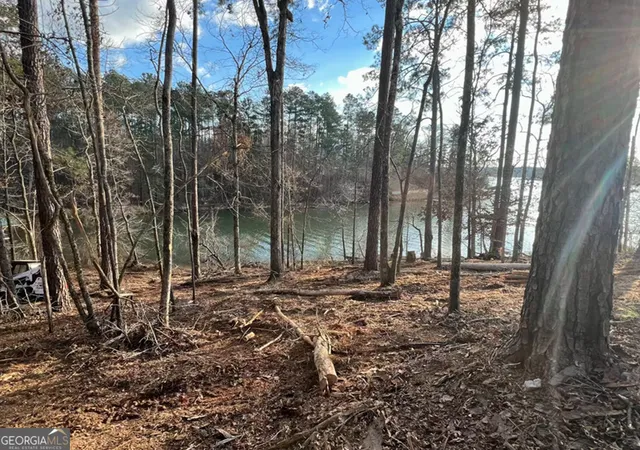 3rd image of 23 Post Oak Ridge, Sparta, GA 31087 | MLS# 10785583