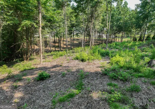 Photo 4 of Land for sale at 2789 Malcom Estates Rdg #LOT 28, Bogart, GA 30622 | MLS# 10814594 | Listing updated on 2026-08-23