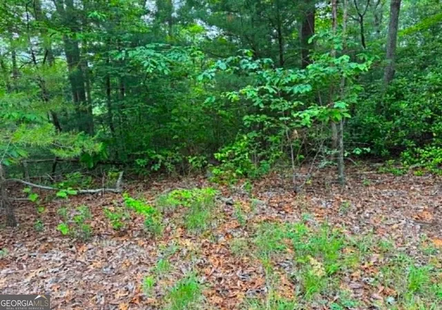 Homes for sale in Ranger, GA | 1674A Hunter Dr, Ranger, GA 30734 | MLS# 10767215