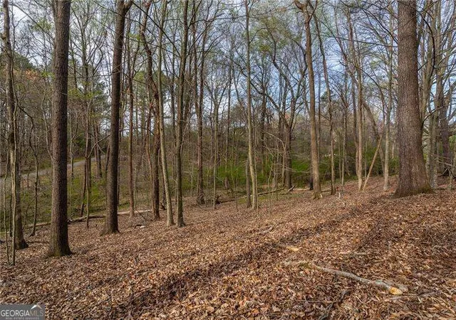 2nd image of 342 Jesse Martin Trail, Canton, GA 30115 | MLS# 10719496