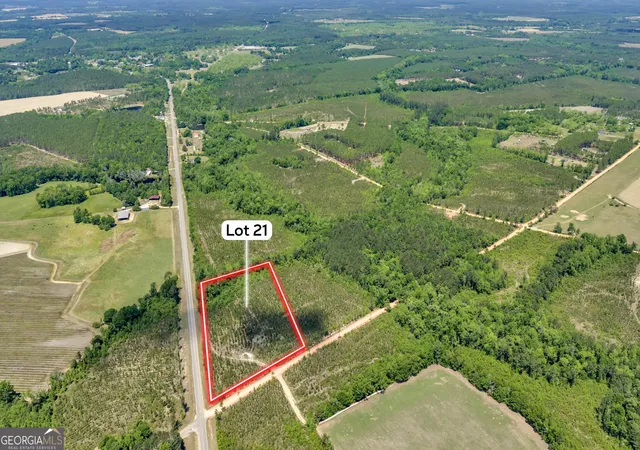 1st image of 21 Hwy 126, Alamo, GA 30411 | MLS# 10784819