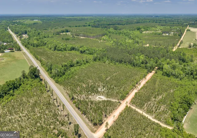 2nd image of 21 Hwy 126, Alamo, GA 30411 | MLS# 10784819