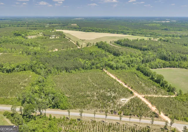 3rd image of 21 Hwy 126, Alamo, GA 30411 | MLS# 10784819