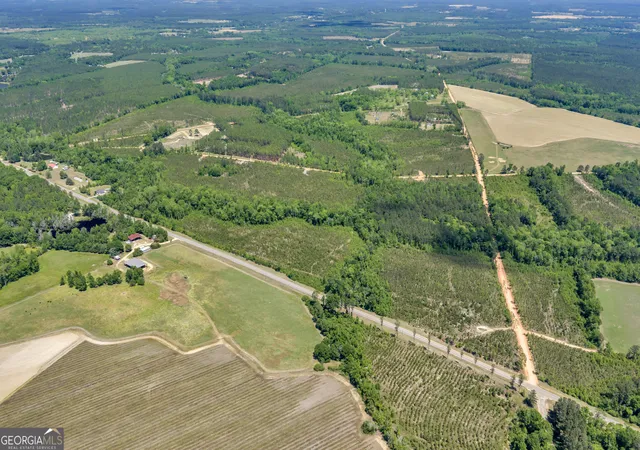 5th image of 21 Hwy 126, Alamo, GA 30411 | MLS# 10784819