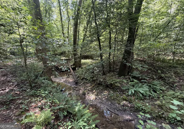 1st image of 0 Alpine Dr, Sautee Nacoochee, GA 30571 | MLS# 10824568