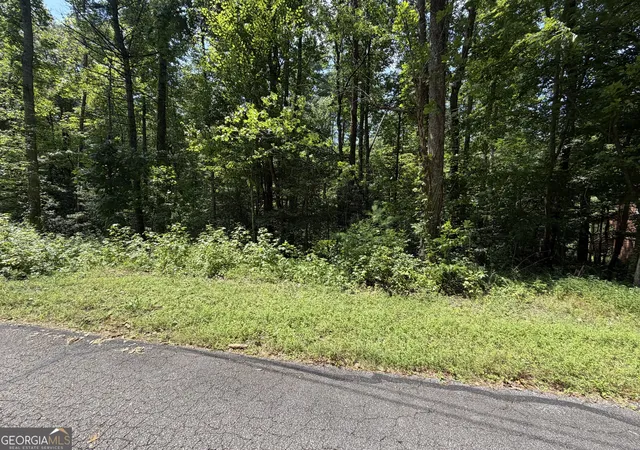 20th image of 0 Alpine Dr, Sautee Nacoochee, GA 30571 | MLS# 10824568