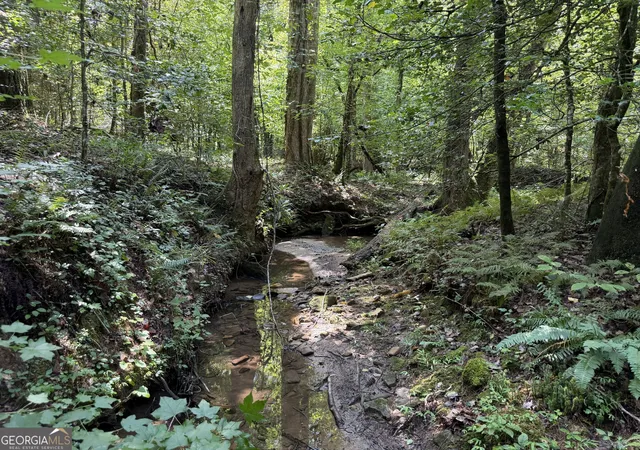 2nd image of 0 Alpine Dr, Sautee Nacoochee, GA 30571 | MLS# 10824568