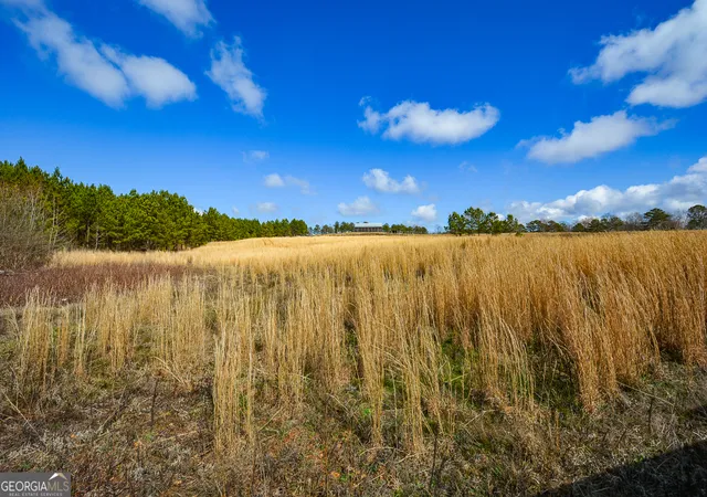 1st image of 119 Inland 5 Acres Dr, Talking Rock, GA 30175 | MLS# 10701572