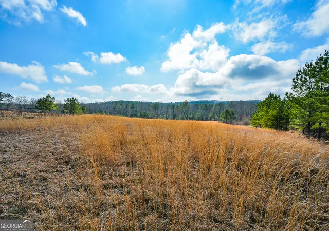 Photo 3 of Land for sale at 119 Inland 5 Acres Dr #4 ACRES, Talking Rock, GA 30175 | MLS# 10701572 | Listing updated on 2026-09-09