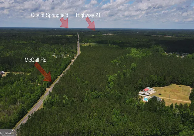 Photo 2 of Land for sale at 0 Mccall Rd, Rincon, GA 31326 | MLS# 10755033 | Listing updated on 2026-05-15