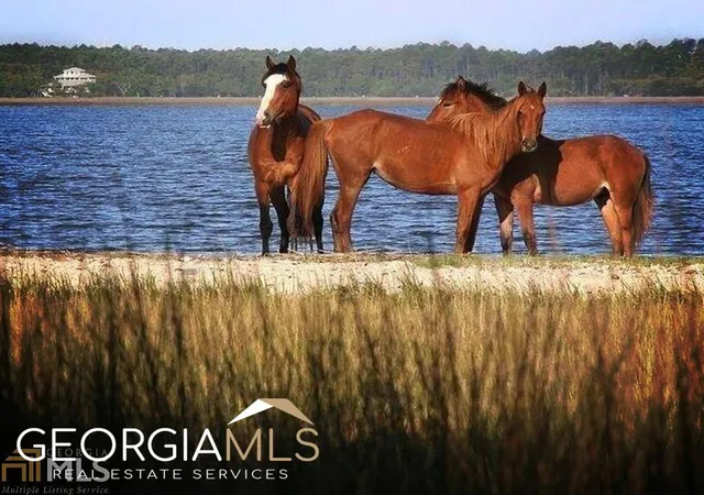 1st image of 0 Teather Dr #882 & 883, St. Marys, GA 31558 | MLS# 8951348