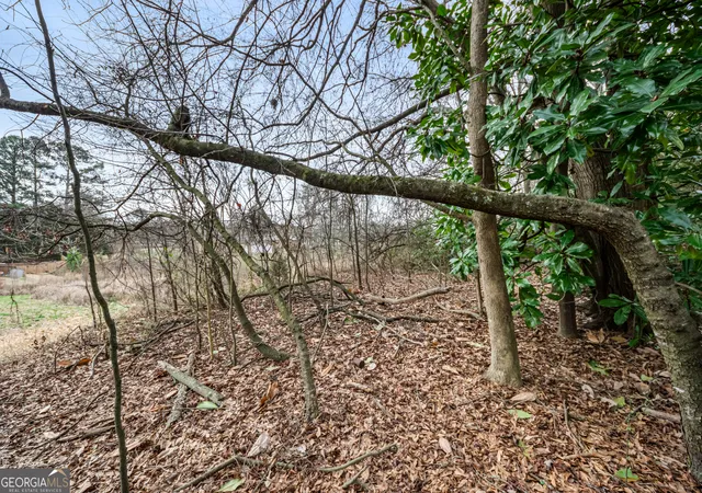 Photo 3 of Land for sale at 0 Fairview Sta, Hartwell, GA 30643 | MLS# 10710393 | Listing updated on 2026-08-09