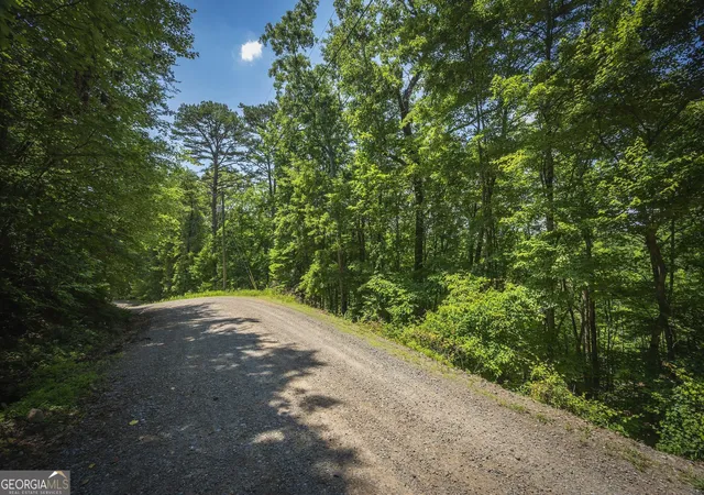 Homes for sale in Ellijay, GA | 354ac Myna Dr, Ellijay, GA 30540 | MLS# 10791603