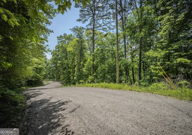 Homes for sale in Ellijay, GA | 354Ac Myna Dr, Ellijay, GA 30540 | MLS# 10791603