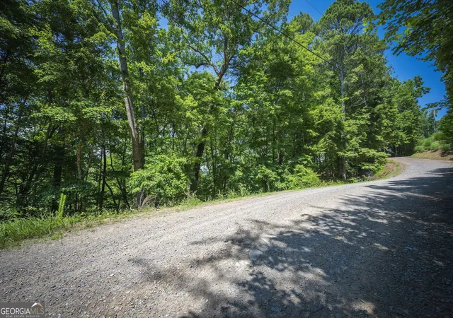 Homes for sale in Ellijay, GA | 354Ac Myna Dr, Ellijay, GA 30540 | MLS# 10791603